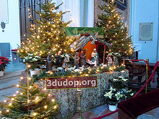 Julstjärnor i St Stephen's Cathedral i Wien
