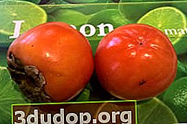 スペイン産の柿