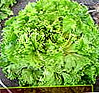Salade Abrek