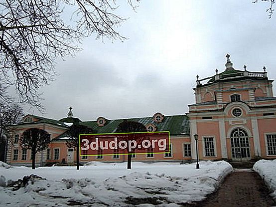 Kuskovo. Rumah kaca batu besar, fasad utara