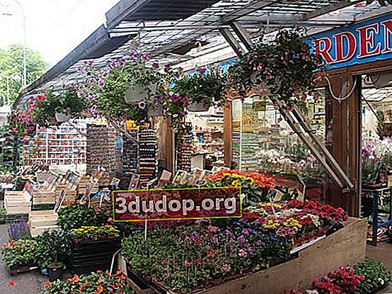 Pasar bunga terapung di Amsterdam