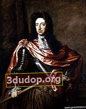 Godfrey Kneller. Potret Raja William III
