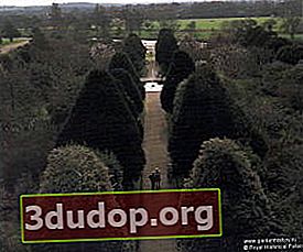 햄튼 코트. 자신의 정원. 가장 웅장한 경치는 슬로프 중앙에서 볼 수 있습니다. 피라미드 유우-이것이 그들이 300 년 전의 방식입니다