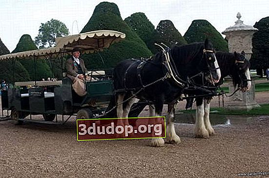 ハンプトンコートの馬車：輸送ツールとガーデニングツールの両方。エレナ・ラペンコによる写真