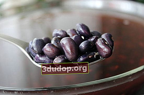 Kacang hitam adalah sejenis kacang biasa. Foto: Nikolay Khromov