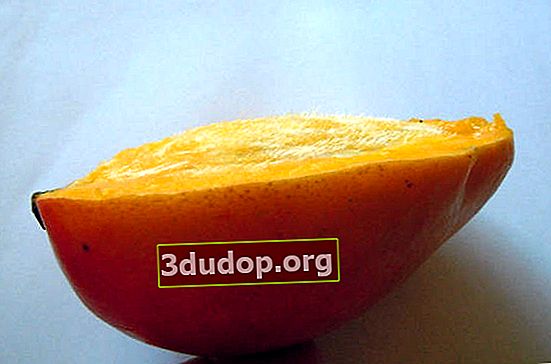 Părul osului este clar vizibil pe tăietura laterală a fructului de mango