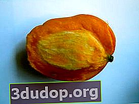 La mangue coupée ressemble à une palourde