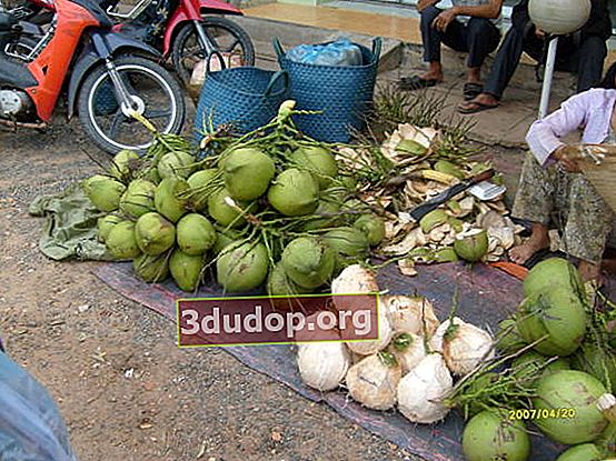 베트남 시장의 코코넛