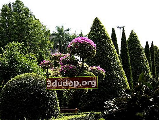 Cerita dan topiary dengan gaya "enam hektar"