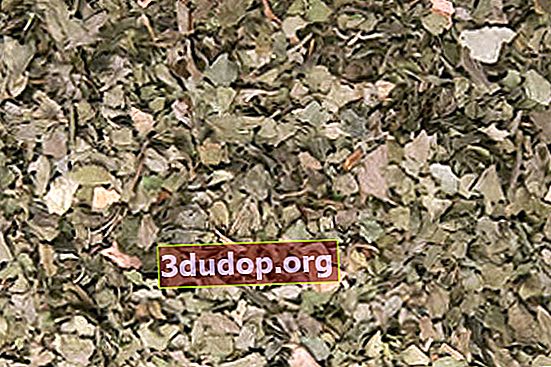 허벅지 saxifrage, 부서진 뿌리