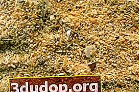Substrat de semis de sciure de bois avec du sable