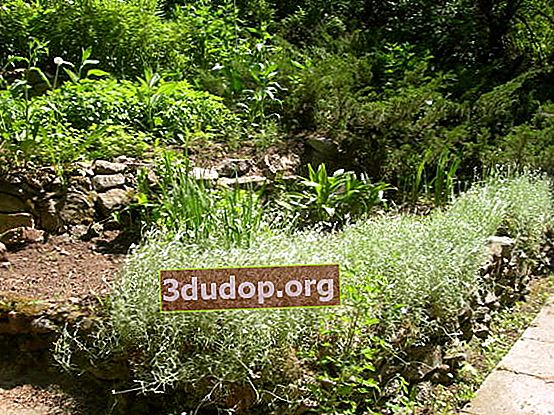 Tobogan alpin în grădină