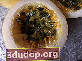 패션 플라워 식용 (Passiflora edulis) 또는 패션 프루트